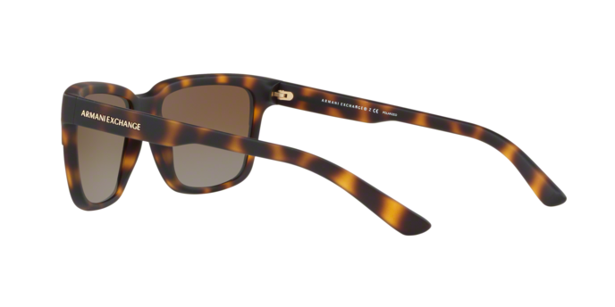Armani Exchange 4026S 8029T5 360 visione