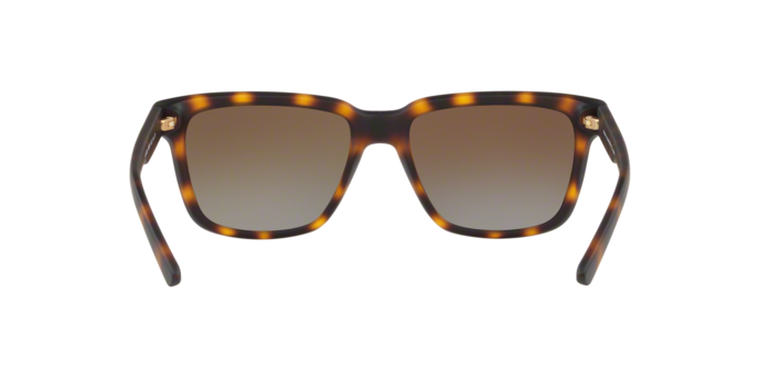 Armani Exchange 4026S 8029T5 360 visione