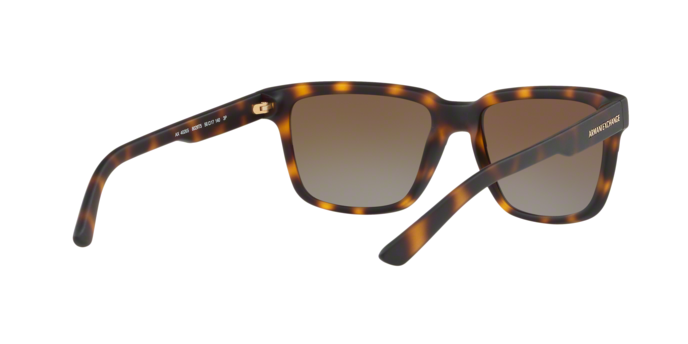 Armani Exchange 4026S 8029T5 360 visione