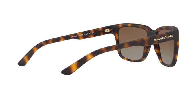 Armani Exchange 4026S 8029T5 360 visione