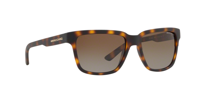 Armani Exchange 4026S 8029T5 360 visione
