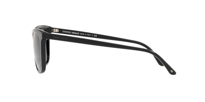 Giorgio Armani 8107 5017R5 360 visione