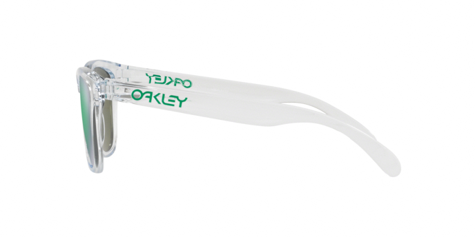 Oakley Frogskins 9013 D6 360 visione