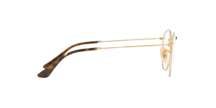 Rayban 3447V ROUND METAL 2945 360 visione