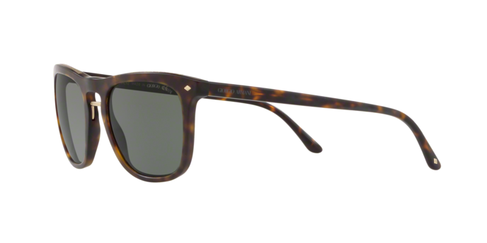 Giorgio Armani 8107 508931 360 visione