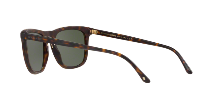 Giorgio Armani 8107 508931 360 visione