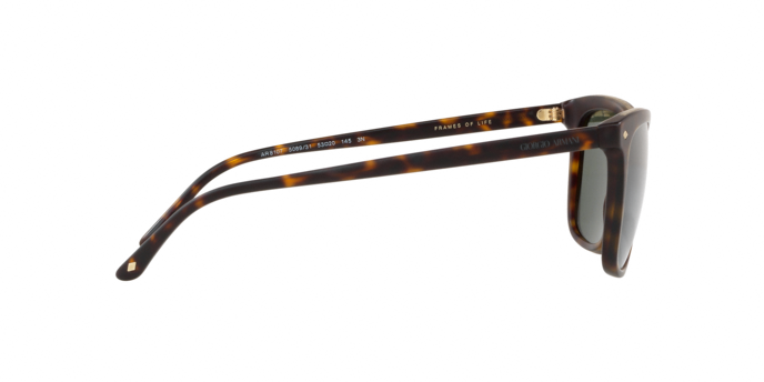 Giorgio Armani 8107 508931 360 visione