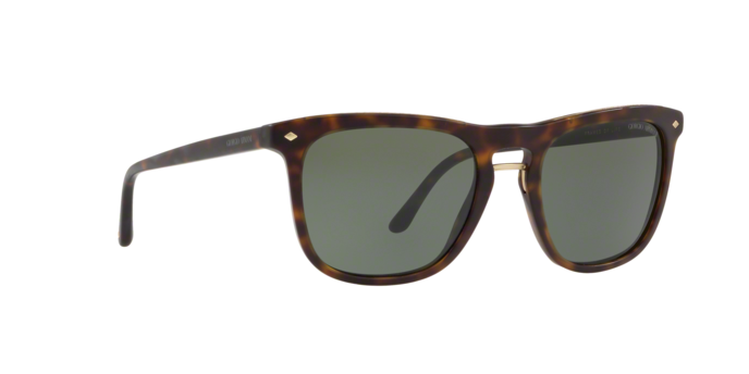 Giorgio Armani 8107 508931 360 visione