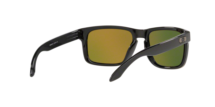 Oakley Holbrook 9102 F1 polariz 360 visione