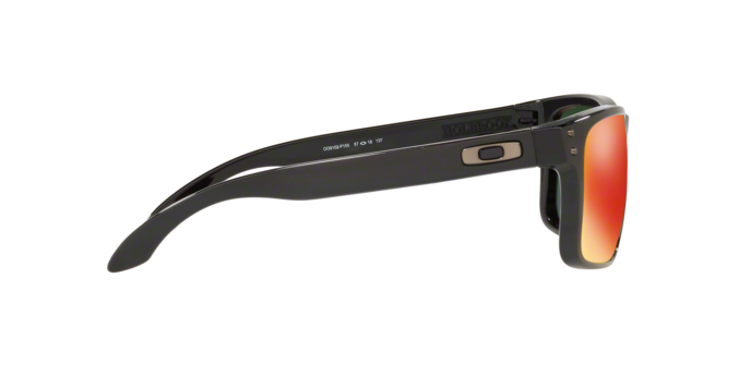Oakley Holbrook 9102 F1 polariz 360 visione