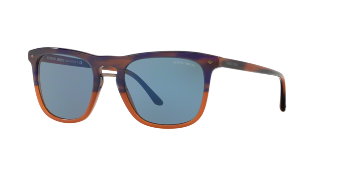 Giorgio Armani 8107 565856 360 visione