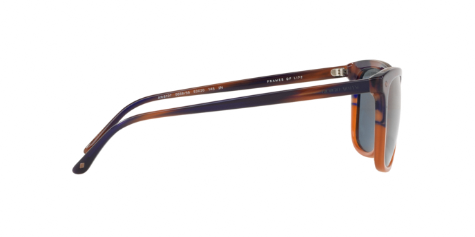 Giorgio Armani 8107 565856 360 visione