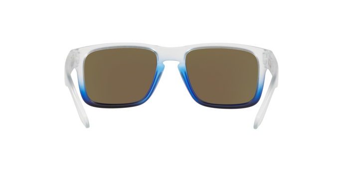 Oakley Holbrook 9102 G5 THE MIS 360 visione