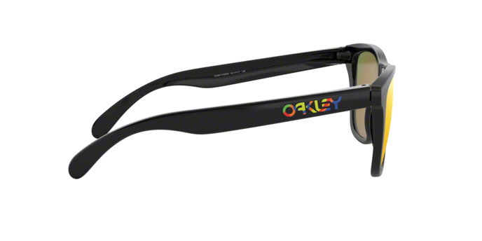 Oakley Frogskins 9013 E6 Valenti 360 visione