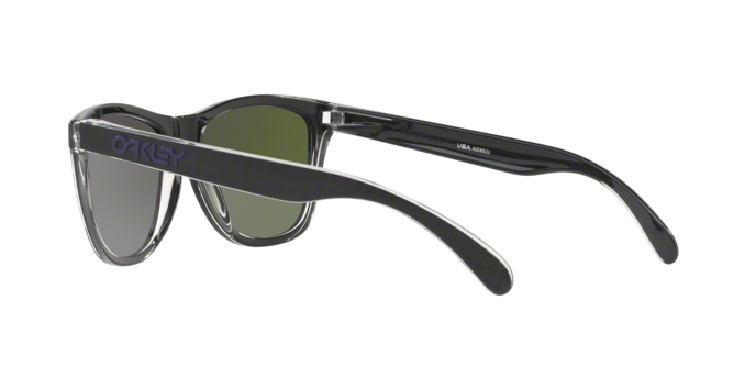 Oakley Frogskins 9013 B9 360 visione