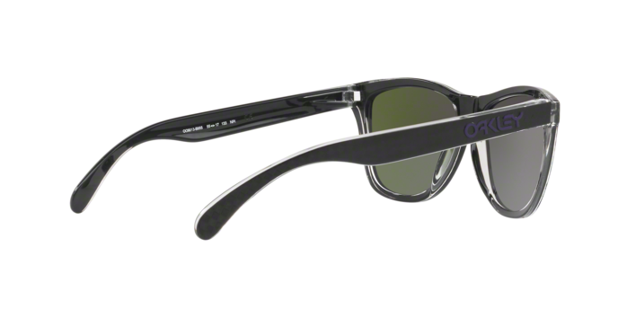 Oakley Frogskins 9013 B9 360 visione