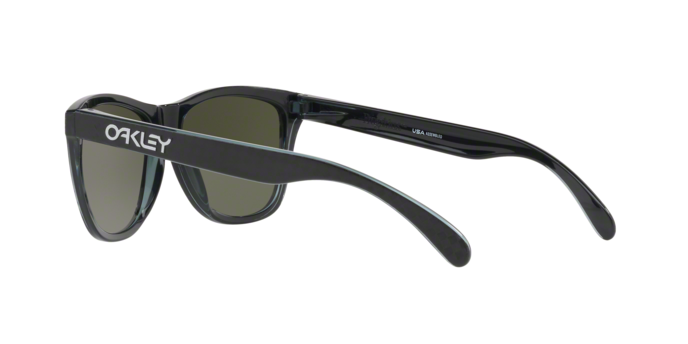 Oakley Frogskins 9013 B8 360 visione