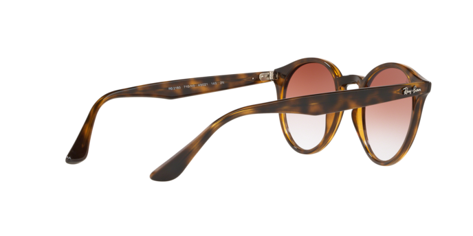 Rayban 2180 710/V0 360 visione