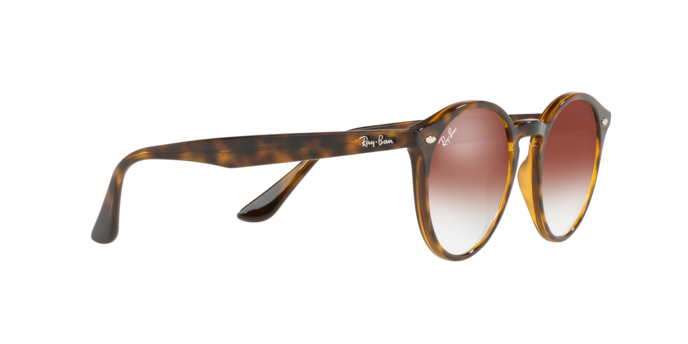 Rayban 2180 710/V0 360 visione
