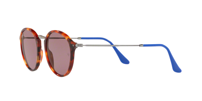 Rayban 2447 1245W0 ROU 360 visione