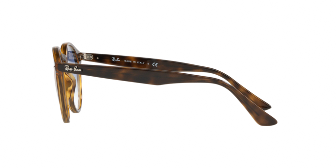 Rayban 2180 710/X0 360 visione