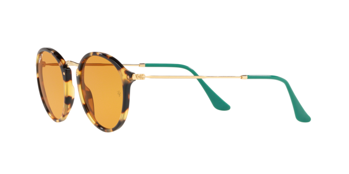 Rayban 2447 1244N9 pol 360 visione