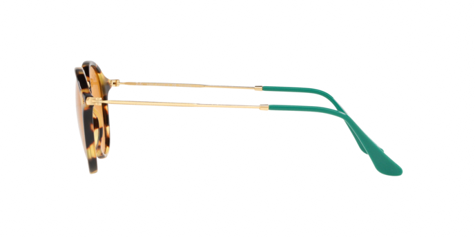 Rayban 2447 1244N9 pol 360 visione