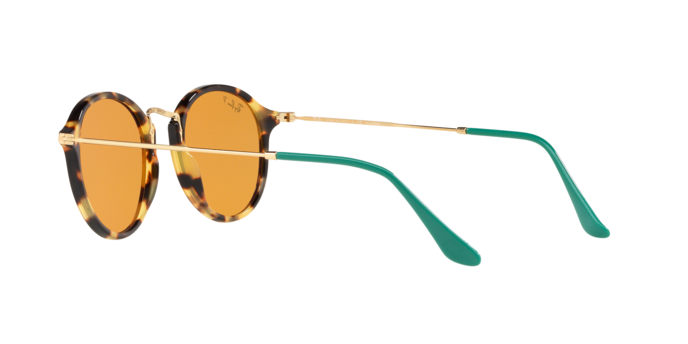 Rayban 2447 1244N9 pol 360 visione