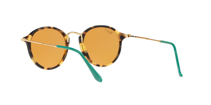 Rayban 2447 1244N9 pol 360 visione