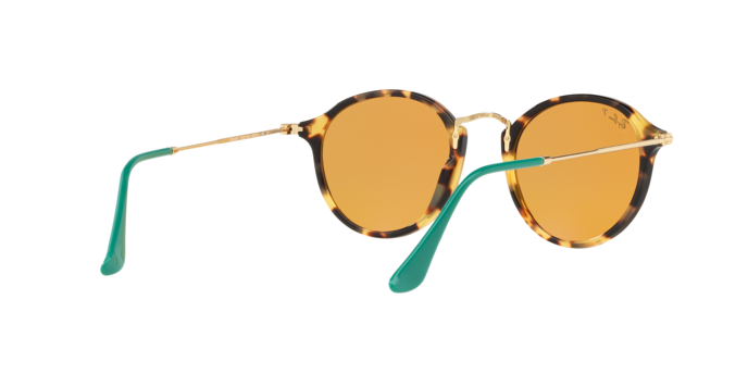 Rayban 2447 1244N9 pol 360 visione