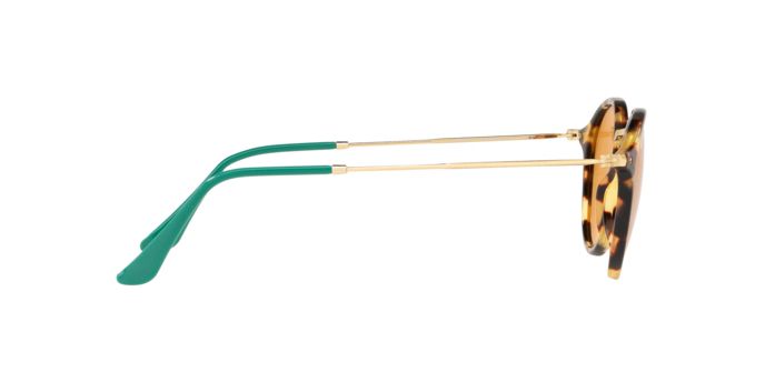 Rayban 2447 1244N9 pol 360 visione