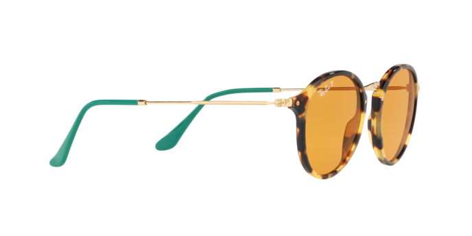 Rayban 2447 1244N9 pol 360 visione