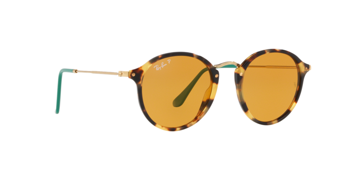 Rayban 2447 1244N9 pol 360 visione