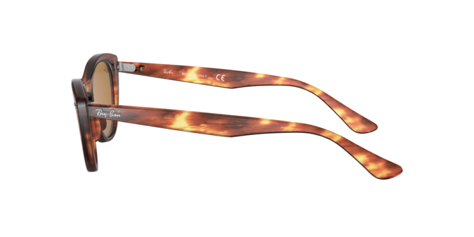 Rayban 4314N NINA 954/33 360 visione