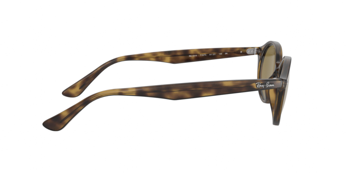 Rayban 4315 710/73 360 visione
