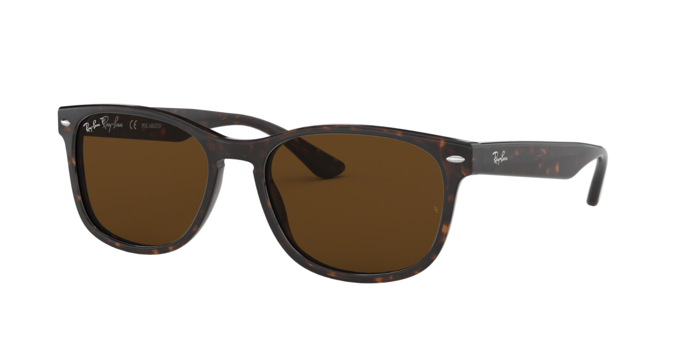 Rayban 2184 902/57 pol 360 visione