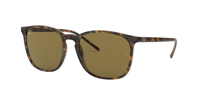 Rayban 4387 710/73 360 visione