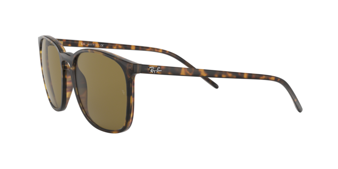 Rayban 4387 710/73 360 visione
