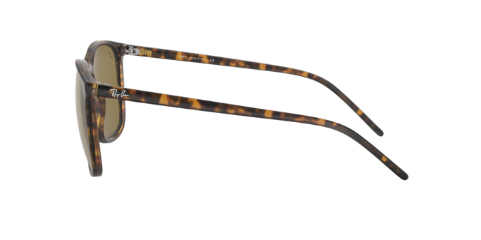 Rayban 4387 710/73 360 visione