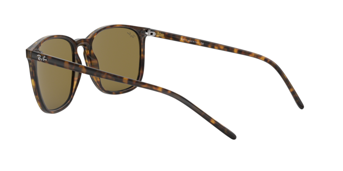Rayban 4387 710/73 360 visione