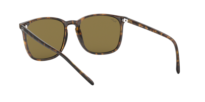 Rayban 4387 710/73 360 visione