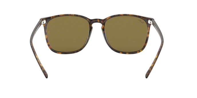 Rayban 4387 710/73 360 visione