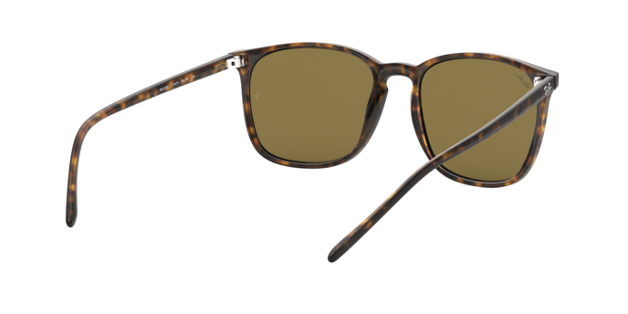 Rayban 4387 710/73 360 visione