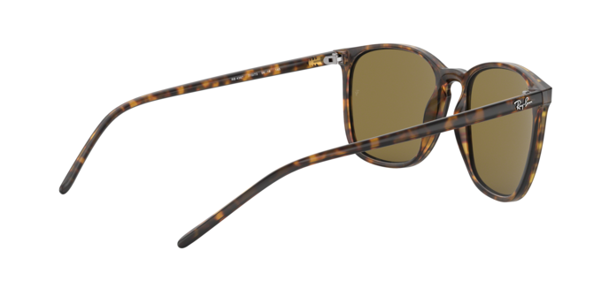 Rayban 4387 710/73 360 visione