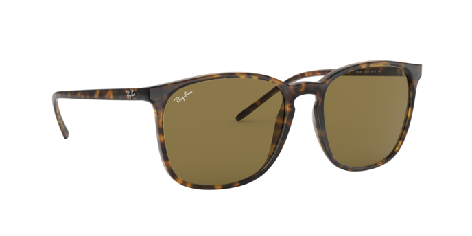 Rayban 4387 710/73 360 visione