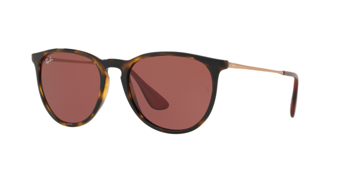 Rayban Erika 4171 639175 360 visione