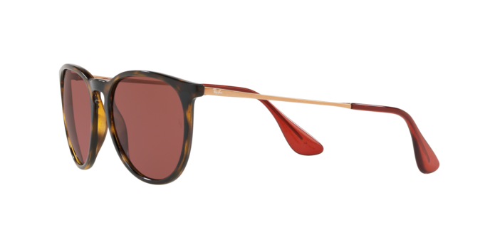 Rayban Erika 4171 639175 360 visione
