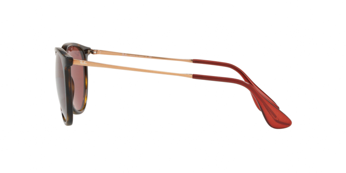 Rayban Erika 4171 639175 360 visione
