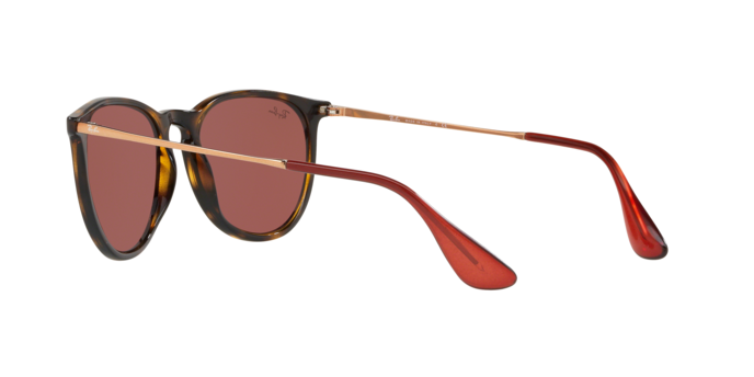 Rayban Erika 4171 639175 360 visione