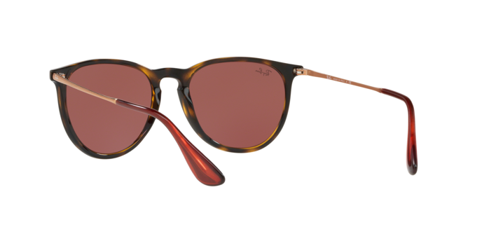Rayban Erika 4171 639175 360 visione
